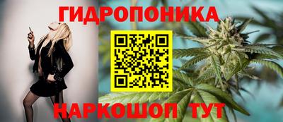 крисы Комсомольск-на-Амуре
