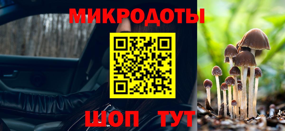 Кубинка  Псилоцибиновые грибы Psilocybe  Псилоцибиновые грибы прущие грибы  Вход с VPN 